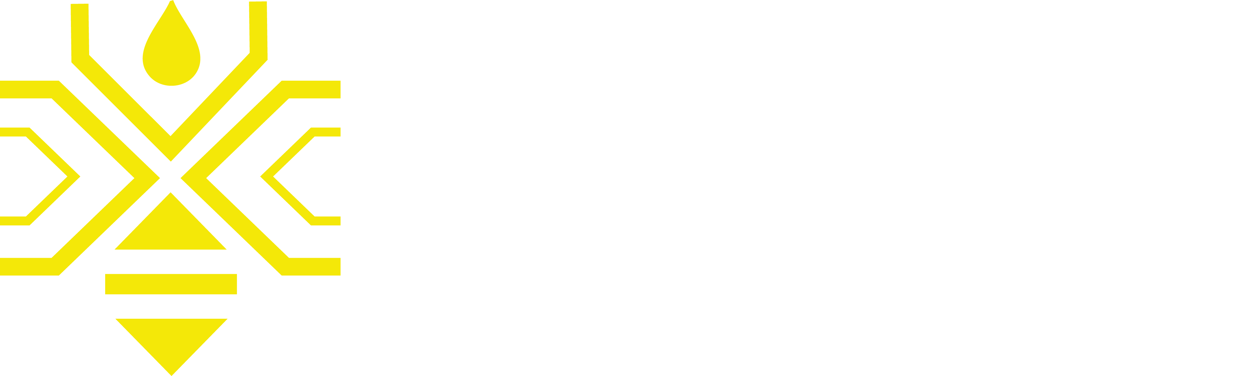 APIS LOGO